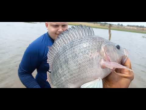 Essa pescaria de tilapia mata qualquer um do coração