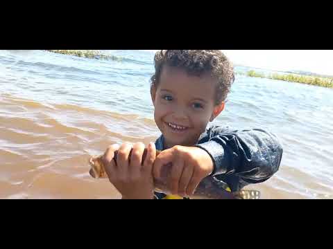 Pescaria de tilapias selvagens no Rio Grande impossível não