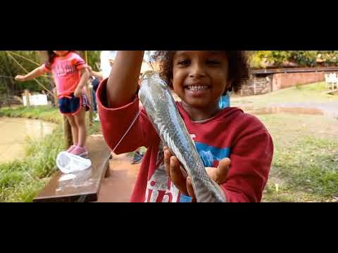 Pescaria de tilapia Rio marinheiro a chuvinha caindo e a