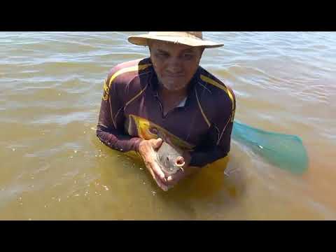 Pescaria caipira na Ilha das tilapias piauçu tucunare e