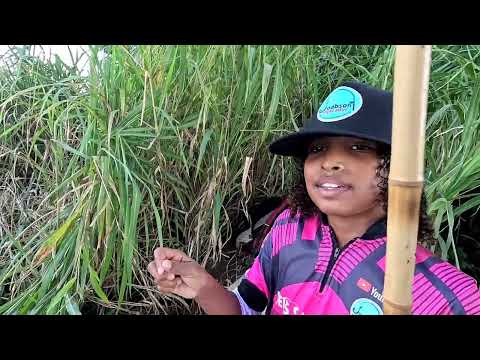 Pescaria caipira usando minhoca no Rio turvo não dava tempo