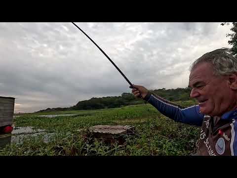 Pescaria de tucunaré piauçu apaiari e até um Pacu caranha