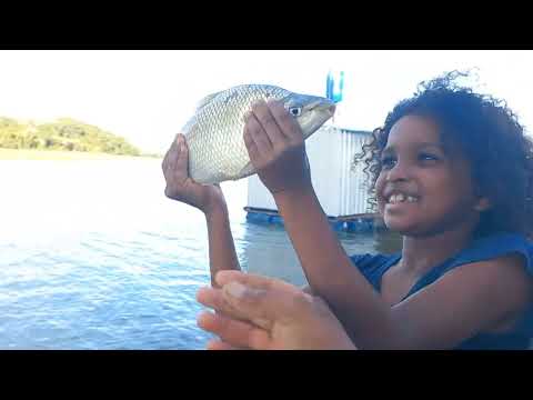 Que Pescaria foi essa era peixe pra todo lado o bambu
