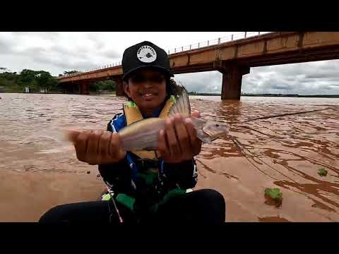 Rio turvo água barrenta Pescaria de Peixe de couro é fatal