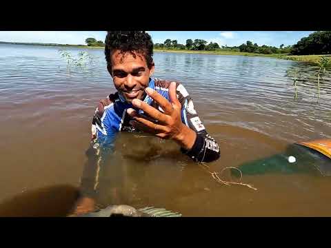 Não dá pra acreditar fiquei tremendo muito um monstro desse