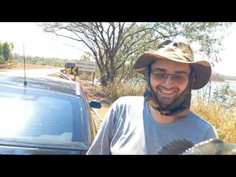 Pescaria de Gigantes tucunare e Oscar Frito no barranco Rio
