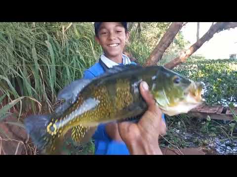 Rio turvo é o melhor só Gigantes a varinha de bambu não
