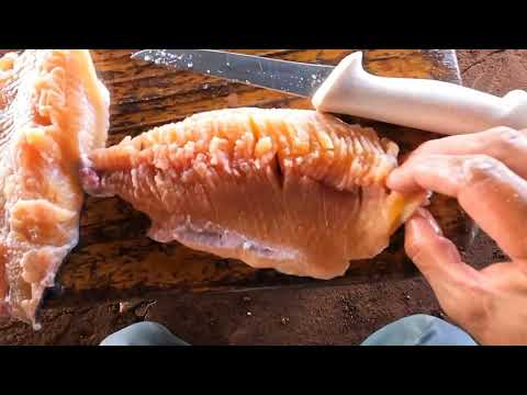 Pesquei as Curimbas e fritei no barranco do Rio Essa