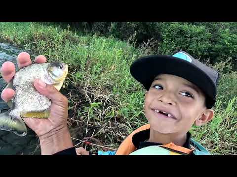 Pescaria de tucunaré e Oscar na ilha das tilápias Rio