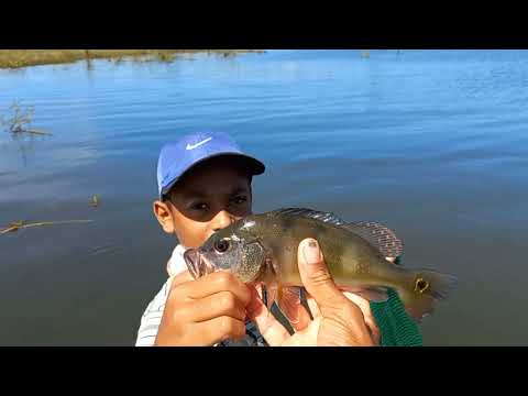 Pescaria de tilapia eles ganharam na loteria estavam no