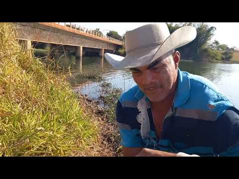 Impressionante cada toco de traíra chega da medo Pescaria