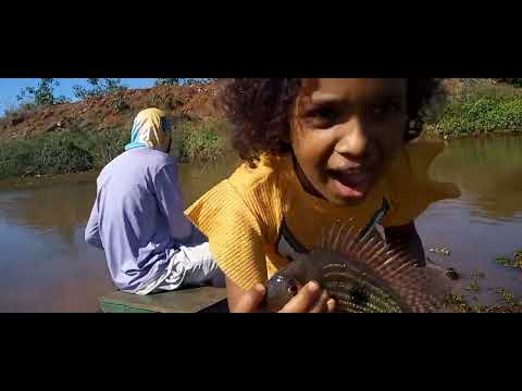 Fiz uma ceva para tilapia Derrepente o gigante do Rio