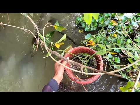 Isso não é um Peixe é um monstro se tá maluco Pescaria nas