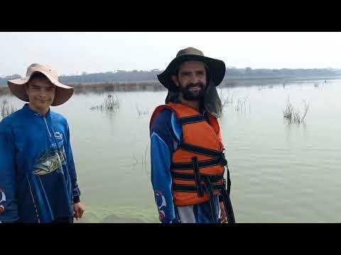 Pescaria de tilapia selvagens Nessa ilha da gosto até pacu