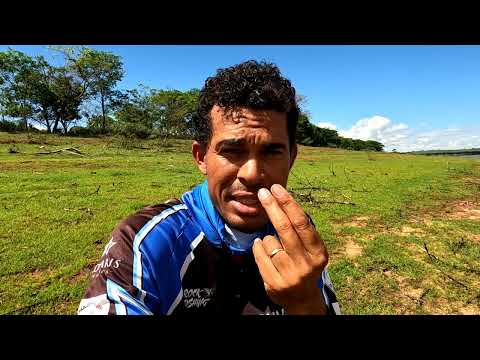 Jamais imaginei passar por isso mas assistam rápido vocês