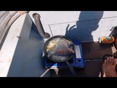 Aquele frito de Piranha de dar água na boca Sensacional