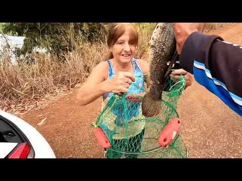 Pescaria de traíra gigante ao som da bóia é infalível