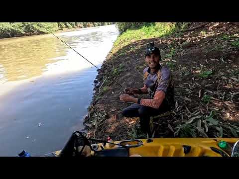 Pescaria de Pacu no Rio Turvo eles encostaram na ceva