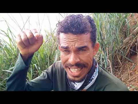 Pescaria no Rio marinheiro você tem que ver esse vídeo quem