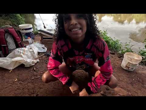 Pescaria de Piapara e piau gigante no Rio turvo Pontes