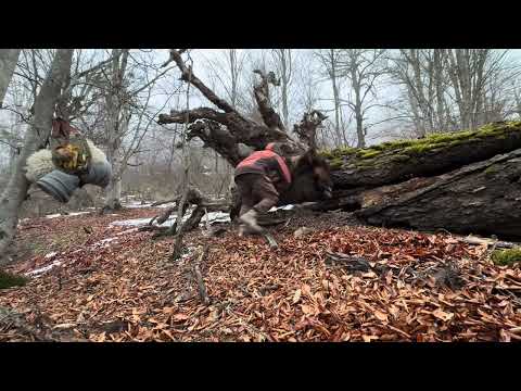 3 Days winter camping in snow forest build cozy shelter