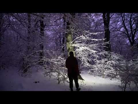 Trapped in Deep Snow and a 17 C Snowstorm 2 Days Alone
