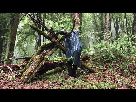 I Wasn t Supposed to Survive This forest Storm 40hours No