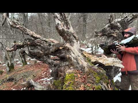 2 Days Caught in a 11 C Heavy Snowstorm How NOT to Freeze