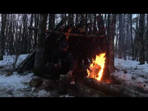 Extreme Winter Survival in the Snow Alone at 14 C with No