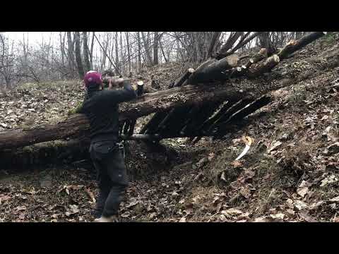 surviving in rainforest no tent no sleeping bag bushcraft