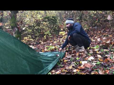 camping in the rainforest ASMR rain camping in the foggy
