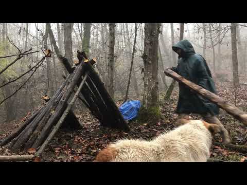 solo camping in the rainy forest with my dog building