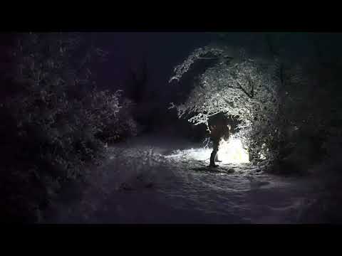 Trapped in a 15 C Blizzard with Only a Fire Extreme Winter