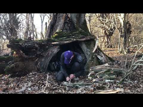 Extreme Winter Survival in Heavy Snow in a Fallen Tree at
