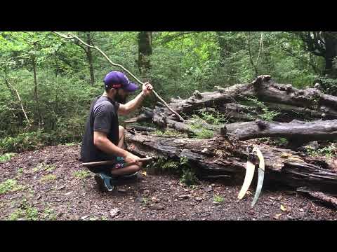 Solitary Survival in the Terrifying Forest Adventure in the