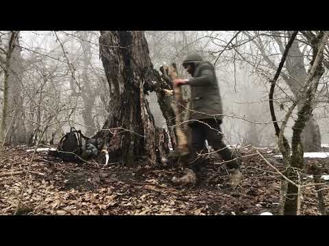 Can I survive in a foggy snowy forest at 5 C inside a tree