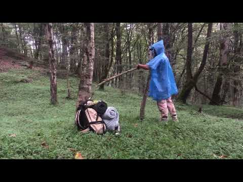 Solo Camping in the Heavy Rainforest Bushcraft and Survival