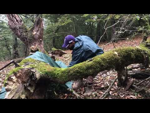 camping in the autumn forest solo camping in forest