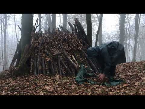 surviving in heavy rainforest no tent no sleeping bag