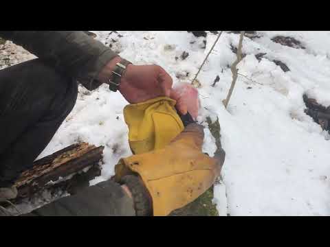 Lost in the Wilderness How to NOT Freeze to Death 9 C