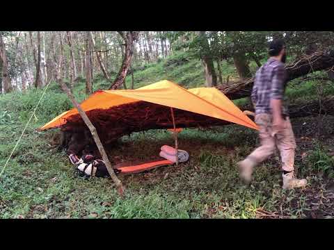 Solo Camping and Bushcraft Camping in the forest