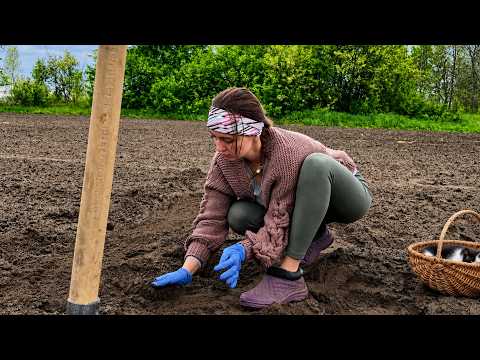 I Inherited More Than a House I Inherited a Whole Life in