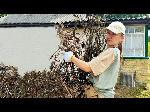 Rural Life Inherited Delicious Okroshka Crawfish Trapping