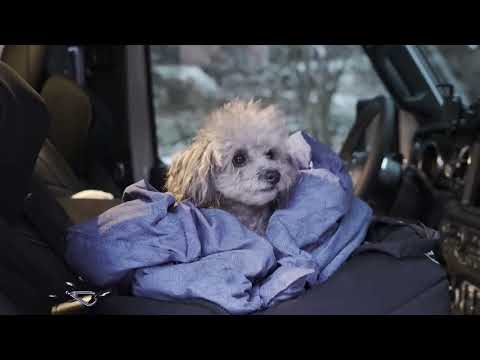 10 C Giant Tipi Tent CAMPING in Frozen Snow with Extreme