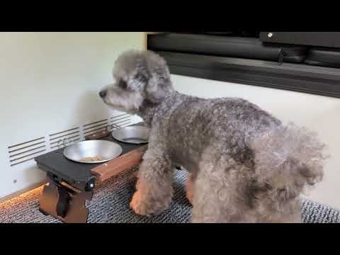 HEAVY RAIN CAMPING IN A KIA TASMAN ROOFTOP TRUCK CAMPER