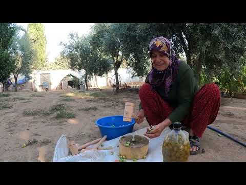 BİDON BİDON LEZZETLİ KAHVALTILAR İÇİN KÖYDE YEŞİL ZEYTİN