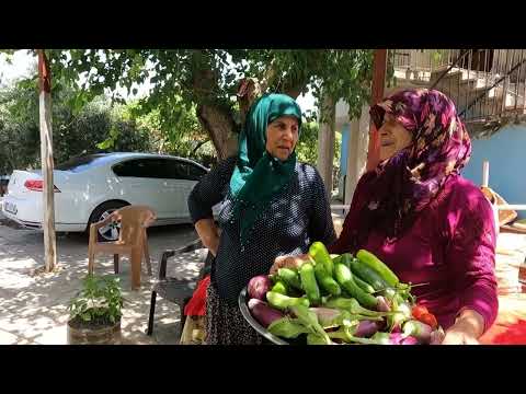 HALAM KÖY EVİ TEPSİ TEPSİ KUZU ETİ İLE PATLICAN DOLMASI