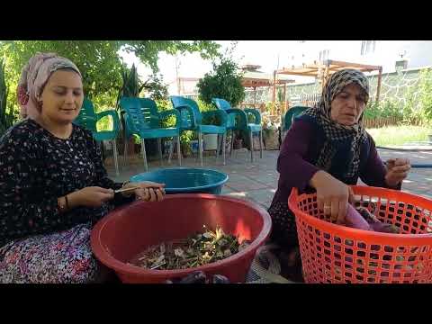 1 SENE BEKLENEN KURU PATLICAN YAPIMI KÖYDE KIŞLIK YEMEK