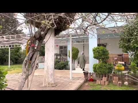 SOBALI SICAK ÇADIR EVİ ŞİDDETLİ YAĞMUR AHŞAP KÖY EVİ