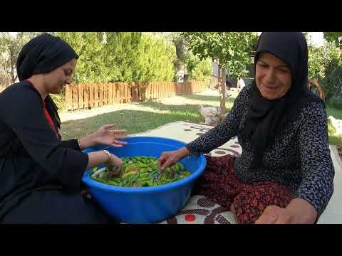 YENGEM EVİNE HER YIL YAPTIĞI BİBER TURŞUSU BU LEZZETE